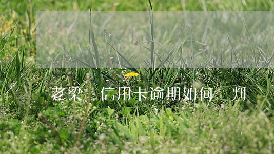老梁說信用卡逾期如何談判