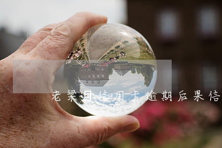 老梁談信用卡逾期后果(信用卡逾期坐牢案例)