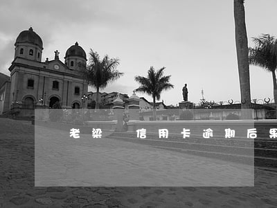 老梁談信用卡逾期后果(老梁講信用卡)