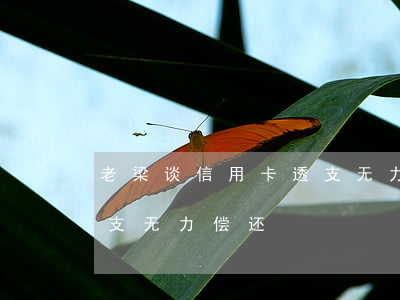老梁谈信用卡透支无力偿还(老梁谈信用卡透支无力偿还)