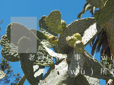 老河口律師事務(wù)所怎么收費(營口律師事務(wù)所收費是怎么收的?)