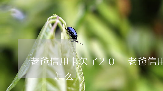 老爸信用卡欠了20萬(老爸信用卡欠了20萬該怎么辦)