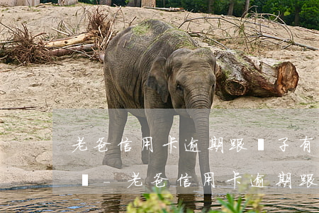 老爸信用卡逾期跟兒子有關(guān)系嗎-老爸信用卡逾期跟兒子有關(guān)系嗎知乎