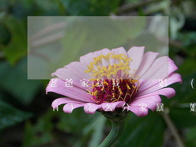 老爸家暴我媽離婚財(cái)產(chǎn)怎么分(家暴離婚婚前財(cái)產(chǎn)怎么分割)