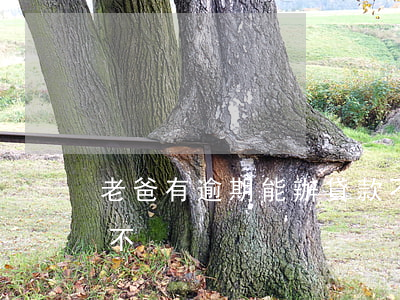 老爸有逾期能辦貸款不(老爸有逾期能辦貸款不)