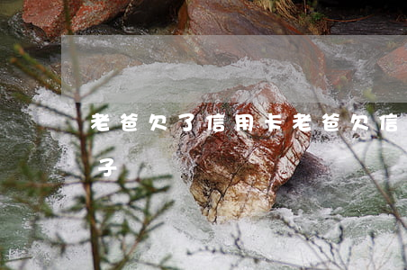 老爸欠了信用卡(老爸欠信用卡,会不会骚扰儿子)