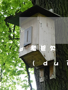 老爸欠網(wǎng)貸沒(méi)還對(duì)女兒有沒(méi)有影響-老爸欠網(wǎng)貸沒(méi)還對(duì)女兒有沒(méi)有影響呢