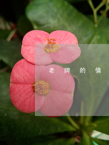 老牌的債務(wù)律師排名