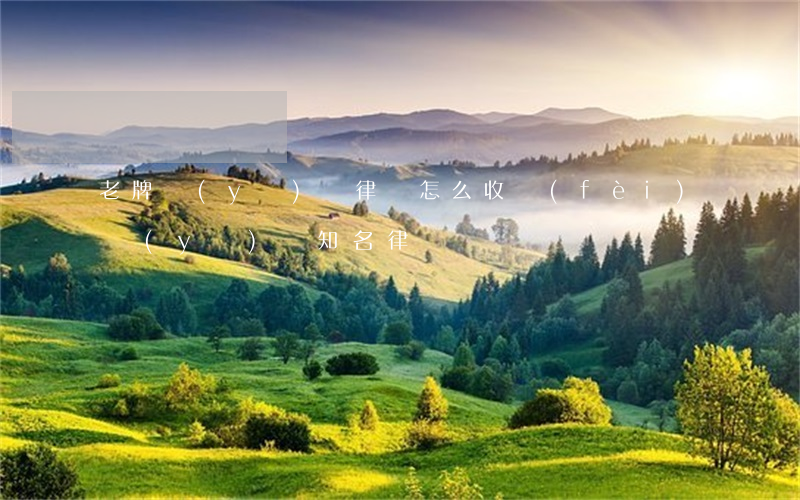 老牌醫(yī)療律師怎么收費(fèi)(醫(yī)療知名律師)