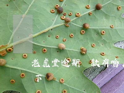 老虎堂逾期還款有啥后果(老虎堂貸款app下載)