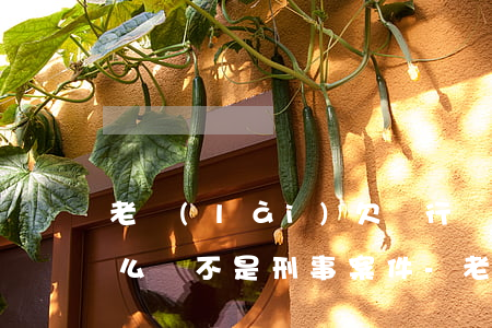 老賴(lài)欠銀行幾百萬(wàn)怎么還不是刑事案件-老賴(lài)欠銀行幾百萬(wàn)怎么還不是刑事案件呢