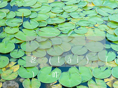 老賴(lài)沒(méi)錢(qián)還咋辦
