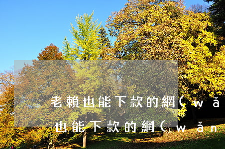 老賴也能下款的網(wǎng)貸口子(老賴也能下款的網(wǎng)貸口子2021)