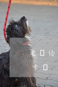 老賴信用卡不還會怎么樣(老賴可以申請信用卡嗎)