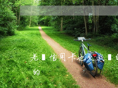老賴信用卡也欠我錢的(老賴信用卡也欠我錢的)