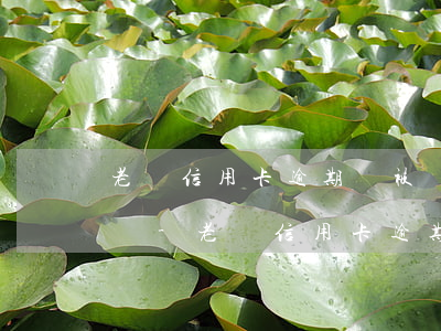 老賴信用卡逾期會被凍結(jié)銀行卡嗎-老賴信用卡逾期會被凍結(jié)銀行卡嗎知乎