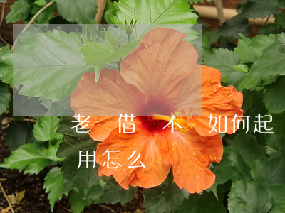老賴借錢不還如何起訴(老賴借錢不還起訴沒用怎么辦)