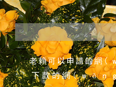 老賴可以申請的網(wǎng)貸 老賴也能下款的網(wǎng)貸口子2021