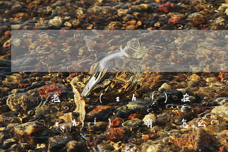 老賴實(shí)在沒錢怎么辦(老賴確實(shí)沒有錢怎么辦)