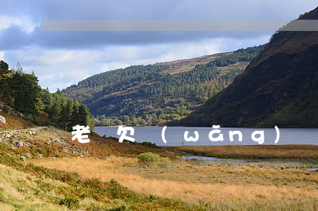 老賴欠網(wǎng)貸19萬