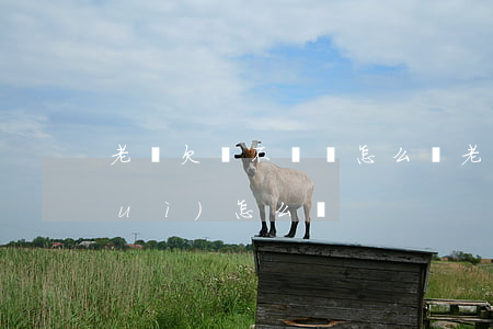 老賴欠錢不還該怎么辦(老賴欠錢不還會(huì)怎么辦)