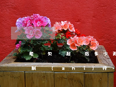 老賴欠錢起訴后多少天能強(qiáng)制執(zhí)行-老賴欠錢起訴后多少天能強(qiáng)制執(zhí)行呢