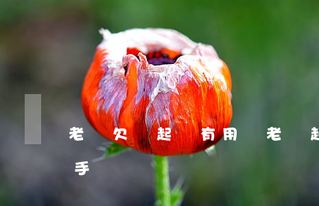 老賴欠錢起訴有用嗎(老賴起訴別人錢能拿到手嗎)