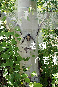 老賴沒(méi)錢法院怎么處理(官司打贏了,老賴不給錢怎么辦)