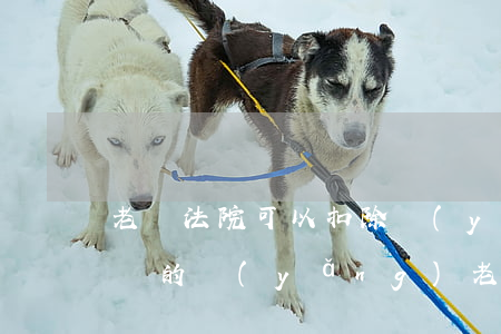 老賴法院可以扣除養(yǎng)老金嗎(老賴的養(yǎng)老金能扣嗎)