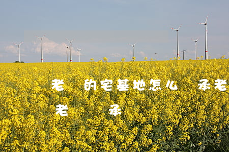 老賴的宅基地怎么繼承(老賴父親寫遺囑不讓老賴繼承)