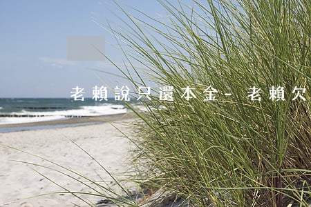 老賴說只還本金-老賴欠銀行錢只還本金