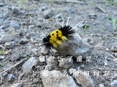 老賴起訴了還是沒(méi)錢(qián)還怎么辦(如何起訴老賴欠錢(qián)不還)