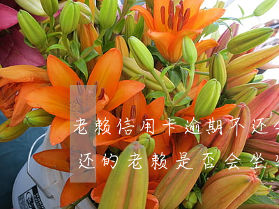 老赖信用卡逾期不还会坐牢吗，信用卡逾期不还的老赖是否会坐牢？