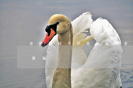 老赖借钱不还是诈骗吗（老赖逾期不还钱算不算骗）