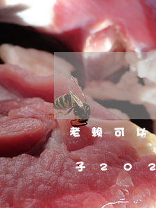 老赖可以申请的网贷 老赖也能下款的网贷口子2021