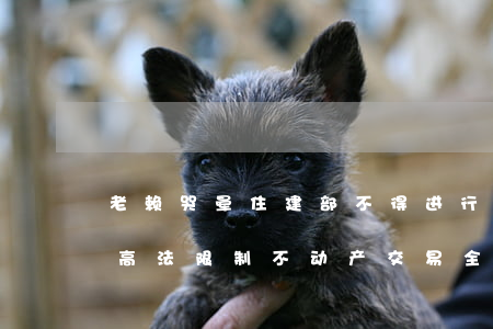 “老赖”哭晕！住建部：不得进行房屋网签备案+最高法：限制不动产交易（全文）