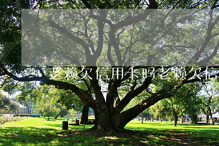 老赖欠信用卡吗 老赖欠信用卡吗