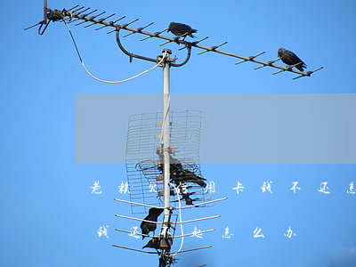 老赖欠信用卡钱不还怎么办(欠银行信用卡的钱还不起怎么办)