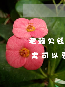 老赖欠钱不还好起诉吗(老赖欠钱不还起诉一定可以要回钱吗)