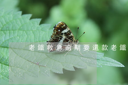 老鐵救急逾期要還款(老鐵救急逾期要還款)