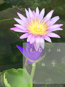 老頭小伙子交通事故私了(老頭小伙子交通事故私了)
