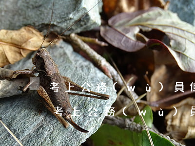 考上公務(wù)員但信用卡有一次逾期-考上公務(wù)員但信用卡有一次逾期怎么辦