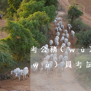 考公務(wù)員信用卡逾期可以嗎(公務(wù)員考試信用卡有逾期政審能通過嗎)