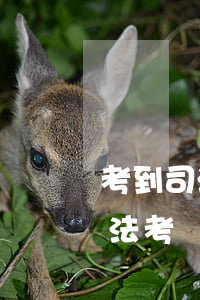 考到司法證就可以當(dāng)律師嗎(司法考過了律師證還需要考嗎)