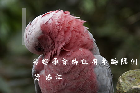 考律师资格证有年龄限制吗(多大可以考律师资格证)