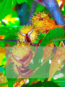 考律師需要什么條件(考律師需要什么條件)