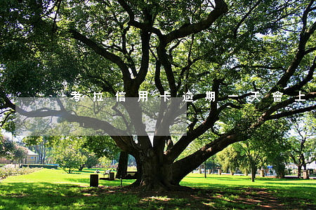 考拉信用卡逾期一天會上征信嗎