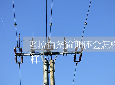 考拉白条逾期还会怎样(考拉白条逾期还会怎样)
