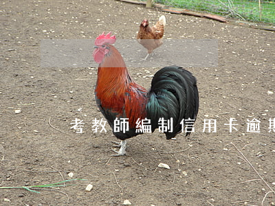 考教師編制信用卡逾期