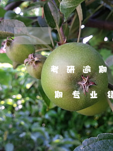 考研逾期专业错误网上确认能改吗-考研逾期专业错误网上确认能改吗知乎